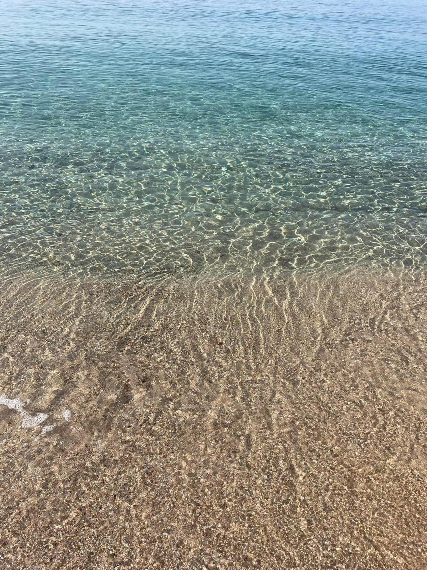 La Belle Vie F4 Bord De Plage Avec Jardin 칼카토지오 외부 사진