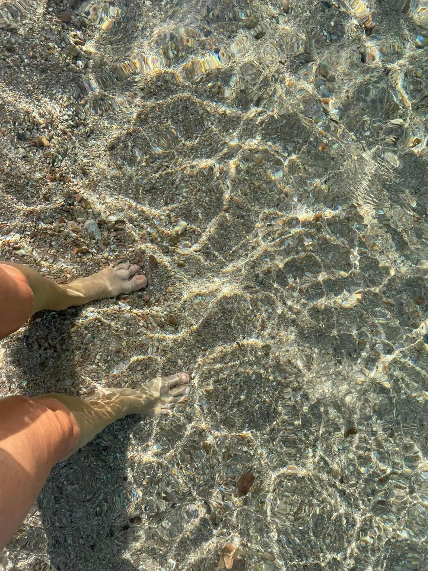 La Belle Vie F4 Bord De Plage Avec Jardin 칼카토지오 외부 사진